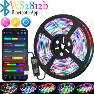 LED Strip 1m-30m RGBIC WS2812b Bluetooth App Control Chasing