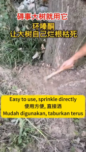 Herbicide Hexazinone Granular Form (500g) Highly Effective in Weed Control Long-Lasting Effect