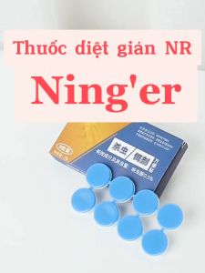 Thuốc Diệt Gián Ninger Hộp 8 Viên Mồi Diệt Gián Cả Đàn Với Mồi Dẫn Dụ Siêu Tốt Khang Đức