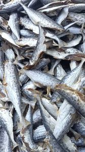 Khô Cá Thu Thịt Chắc Thơm Bỏ Đầu Vị Mặn Vừa Ăn- ĐẶC SẢN MINH TRIẾT