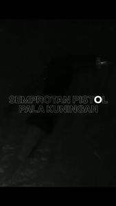 Semprotan Air Jet Selang: Pilihan Terbaik untuk Taman & Mobil