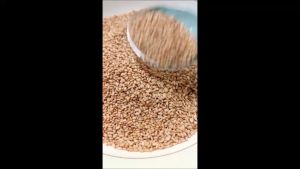 Roasted Sesame 100g งาขาวเกาหลี งาขาวคั่วเกาหลี เกาหลียืดหยุ่น ราคาที่น่ารัก