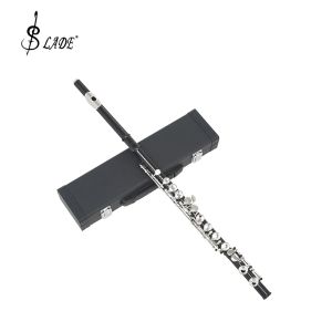 Black 16 Holes C Key Closed Open Flute Professional Concert Flute with Box Cleaning Cloth Stick Gloves Accessories