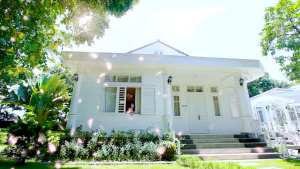 Bộ Tinh Dầu Cắm Điện Air Wick Smooth Satin & Moon Lily 19ml (Hương hoa lily) sử dụng điện 220V tuỳ chọn bộ sản phẩm / chai tinh dầu thay thế làm thơm phòng nhanh chóng