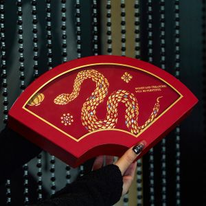 Original New Year Snake Year Special Edition Gift Box Hard Box Cookie Packaging Box Biscuit Gift Box Empty Box for Cooking Tools