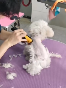 🐾 HTC Premium Pet Fur Clipper for Dogs & Cats 🔇 Quiet ✂️ Adjustable Cutting Lengths 💡 LED Display 🛡️ 1-Year Warranty