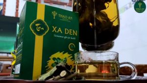 [ĐẶC SẢN AN GIANG] Trà Xạ Đen lá và thân sấy khô hiệu Thảo An túi 150Gram (có lợi cho sức khỏe hỗ trợ ổn huyết áp và gan) - HSD 24 tháng