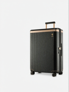 Echolac | Scratch-resistant Customized Suitcase with Decorative Stripes PC
