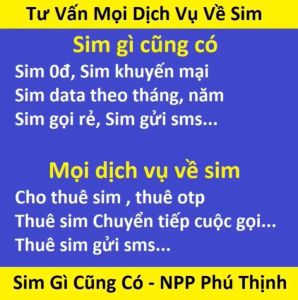 Sim cũ hỏng Sim thu hồi Sim không có sóng Khách mua dùng mục đích cá nhân