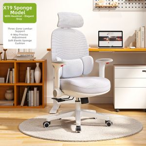 XIGE | Ergonomic Desk Chair for Prolonged Sitting and Reclining