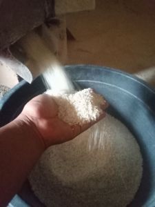 beras jenis IR sangat pulen dan pastinya pres dong(1kg)