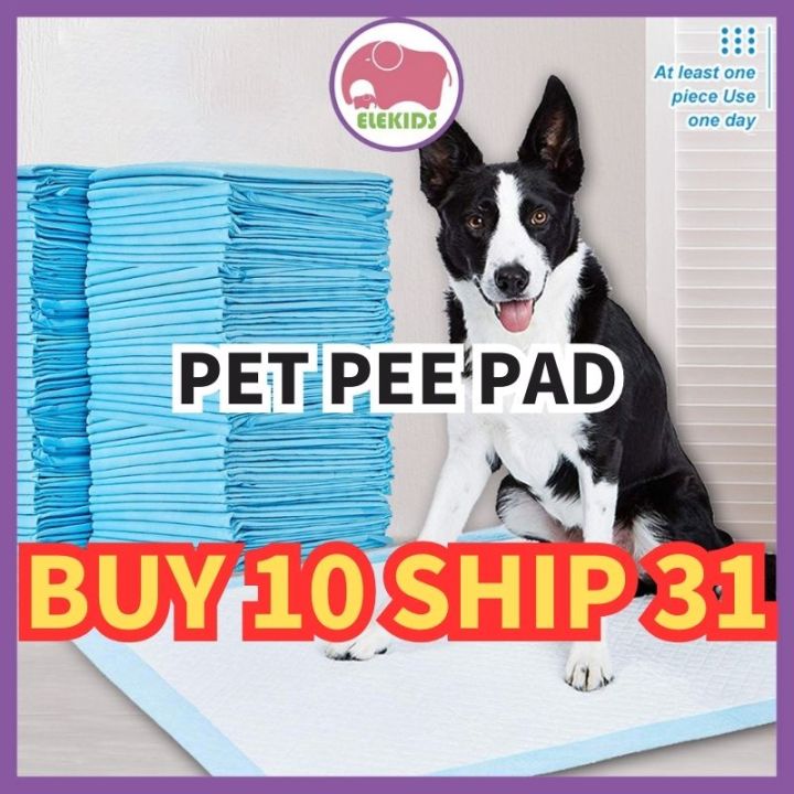 Dog Training Pad Buy 10 Ship 31 Pet Pee Pad Wee Pee Poop Training Pad