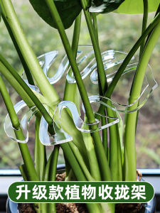 Plant Support Bracket Greenery Leptospermum Prevent Toppling Spring Rain Sturdy Base Money Tree Fixed Device Flower Stand