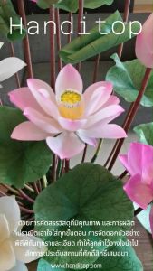Handitop ดอกบัวบาน เส้นผ่าศูนย์กลางดอก 20 ซม. ความยาว 68 ซม. ความยาวก้าน 20 ซม. สำหรับดอกบัวหลวงปลอม ความคล้ำ 20 ซม. คุณภาพเป็นดอกบัวหลวงปลอม เส้นผ่าศูนย์กลาง 20 ซม