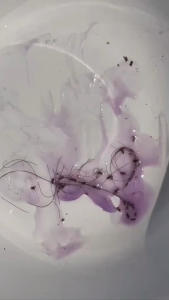 แชมพูพรทีน่า