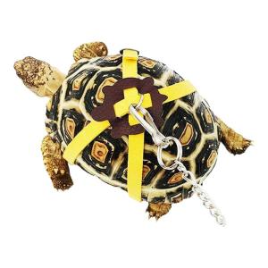 Jiaxun | Turtle Leash For Brazilian & Leopard Tortoises