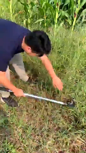 Pemangkas Sabit kapak Ganda Pemangkas Rumput Multifungsi /Sabit Arit Rumput Baja Asli Sabit Kapak Ganda Alat Pemotong Ranting Pohon Alat Panen Padi Potong Rumput