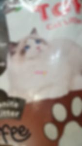 Pasir Kucing Top Cat Litter 5 Liter