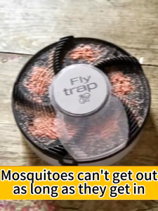 【Freebies 11*Baits】Flycatcher Effective Fly Trap Pest Device Insect Catcher Automatic Electric Flytrap Catching