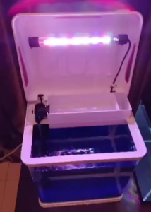 SOBO T-390F 35L Large Fish Tank Glass Aquarium Black / White with Filter Pump and LED Light