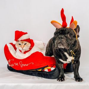 Christmas Xmas Holiday Santa Sleigh Plush Pet Dog Puppy Cat Kucing Soft Sleep Sleeping Furry Bed Nest Mat Toy Decoration