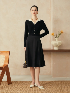 Elegant French Style Contrasting Collar A-line Dress