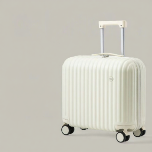 Carry-On Light & Sturdy Suitcase 16 Inch
