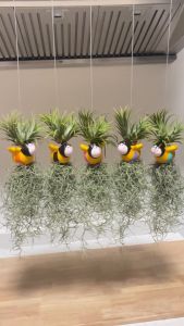 โมบายผึ้งใส่เคราฤาษีทิลแลนเซน ตุ็กตาเซรามิกคละสี สำหรับตกแต่งสวน มอสสเปน ไม้ฟอกอากาศกรองฝุ่น ม่านบังแดด Spanish Moss