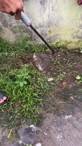 CANGKUL MINI |GAROK MINI | CANGKULMINI GAGANG BESI | CANGKUL PEMBERSIH RUMPUT | OSROK RUMPUT | CANGKUL MINI BESI