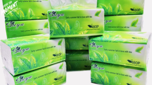 TREE CARE (480 sheets x 8/10 Packs) Organic green tea Facial Tissue Paper 8/10pack green tea 480 10pc