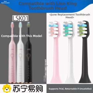 LION King Electric Toothbrush Head LSK01 SMARTKEY Replacement Adult 2585 Suitable for Oral Care And Gums Health