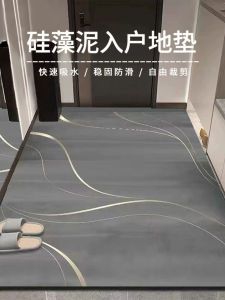 Luxury Entrance Door Mat 2025 New Model Silicon Dendroid Bathroom Absorbent No Wash Anti Slip Foot Mat Simple Style Rectangular Machine Washable