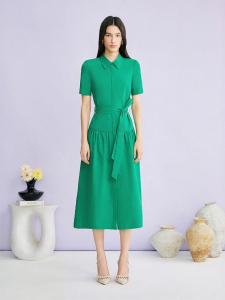 Elegant Commuter Pleated Waist Dress