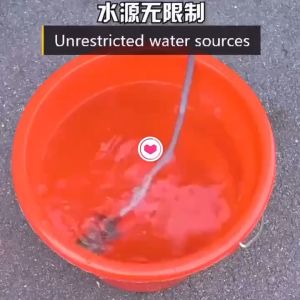 COD Water Pressure Washer: Portable & High-Pressure Cleaning Solution