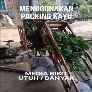 Lebih Aman Dengan Packing Kayu Berkualitas Tinggi