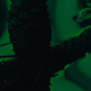 Jo Malone London Intense Cologne 9ml 50ml 100ml • Long-lasting perfumes with scents from fresh and uplifting citrus to opulent florals and warming woods