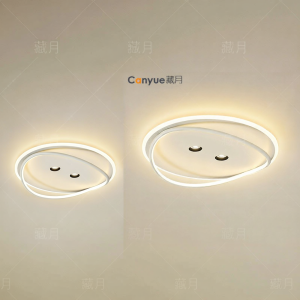 Modern Creative Multifunctional Ceiling Light