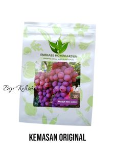 15 BUTIR BENIH TANAMAN ANGGUR RED GLOBE IMPORT (KEMASAN ORIGINAL)