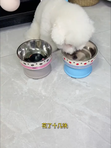 chén nhựa chống gù hoạ tiết in nhỏ dành cho chó mèo - T3 PETS SHOP