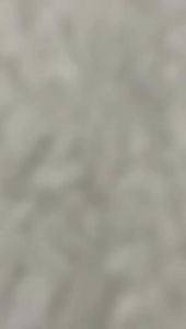 MOO C1389 Panty Wanita Anti Nyeri Silikon Transparan Sekali Pakai Ukuran Reguler