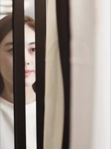 Christmas Gift Wardrobe Freshener Closet freshener Return gift for colleagues Wardrobe Fragrance Air Freshener【Authorized Seller】