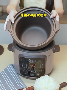 Midea Electric Stew Pot / Clay Pot – Multi-Function Soup Cooker Stewing Pot Purple Clay Pot