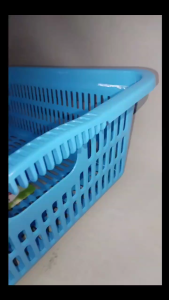 Orocan High Quality Handy Tray in red and blue with handle cut outs and ventilation holes for vegetable tray and dish storage.