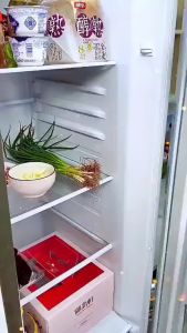 Kotak Saringan Pengering Buah Sayuran Food Storage Bawang Kulkas Serbaguna