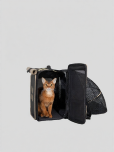 HiDREAM | Breathable Canvas Portable Pet Cat Backpack
