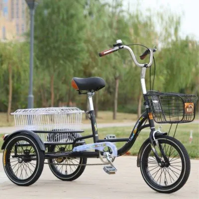 Senior Suitable Dual Seat Pedal Trike for Cargo Transport