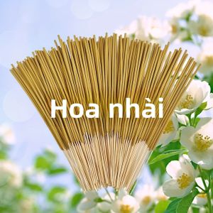 Nhang Hoa Nhài Vàng 20/50/100 Gói Dài 866 Inch Dùng Cho Thiền Yoga Phòng Khách Phòng Làm Việc Di Động Khử Mùi Nến Không Khói