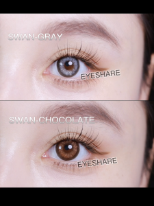 Eyeshare 2pcs SWAN Series Gray Contact Lense Big Eyes 14.5mm Chocolate Color Contact Lens