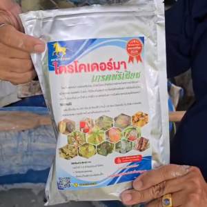 พรีเมียม ไตรโคเดอร์มา 1 กิโลกรัม คุณภาพสูง ใช้ได้ผล ไม่อุดตัน