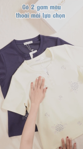 Áo kiểu thiết kế co dãn mềm nhẹ mát với chất liệu Thun Cotton cao cấp dễ phối AN4L1142 Thời trang Thiều Hoa